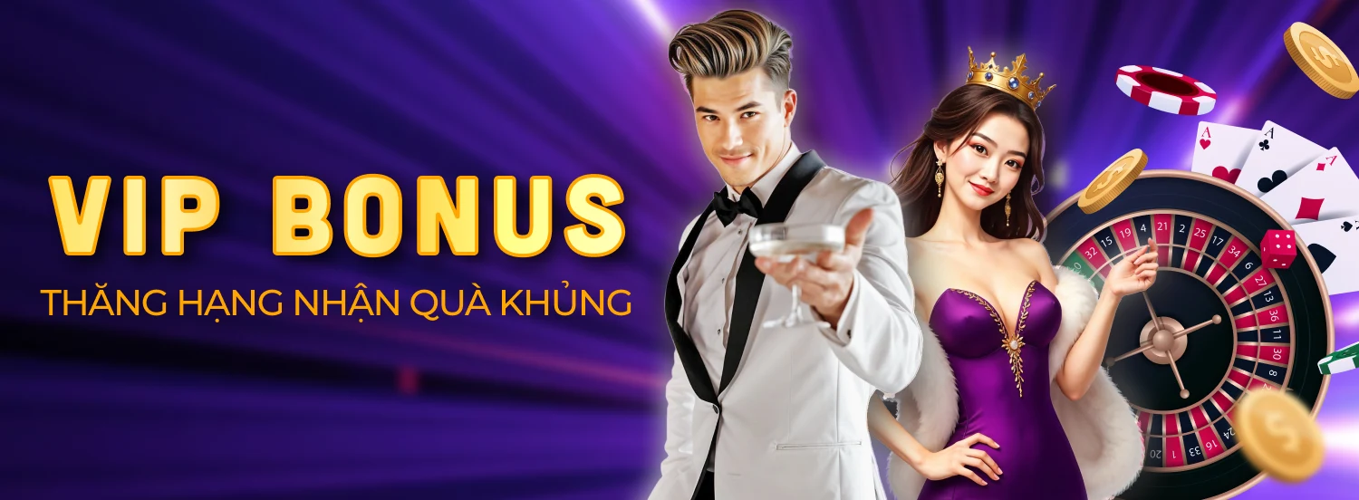 Đặc quyền VIP Ver 2 DU88