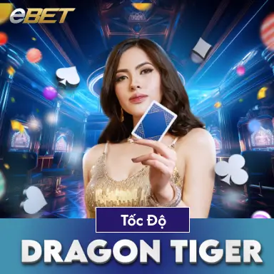 Long Hổ Tốc độ 13 DU88