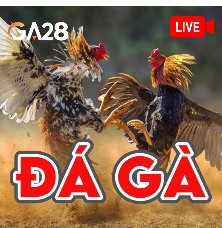 Đá Gà GA28 DU88
