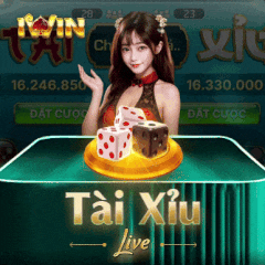 Tài Xỉu Live DU88