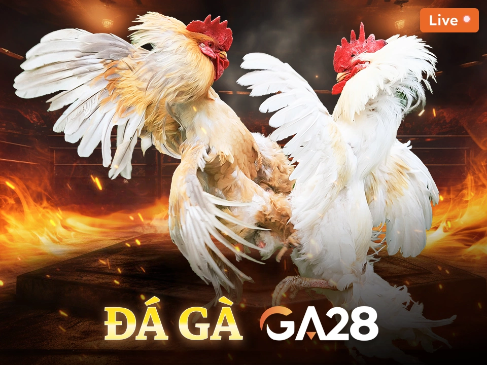 Đá Gà GA28 DU88