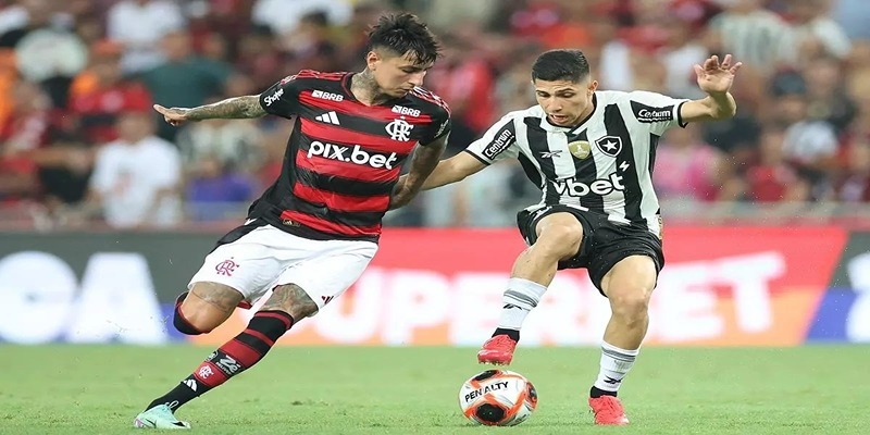 Phong độ hiện tại của Botafogo vs Flamengo