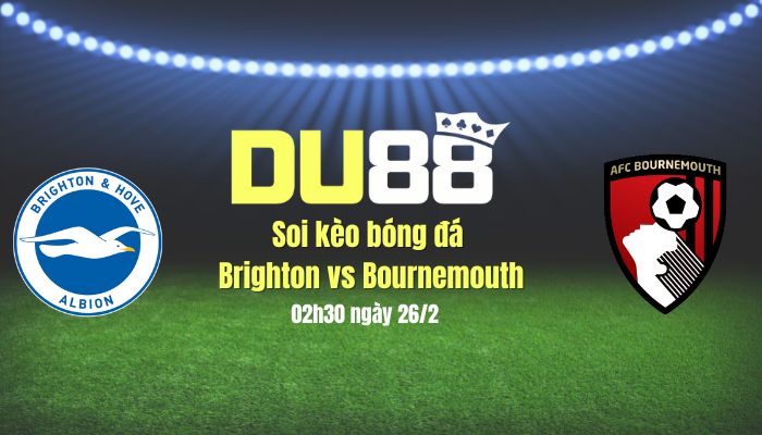Soi kèo bóng đá Brighton vs Bournemouth, 02h30 ngày 26/2: Giành điểm ở tổ Chim mòng biển DU88