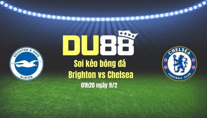 Soi kèo bóng đá Brighton vs Chelsea, 03h00 ngày 9/2: Bắn hạ Chim mòng biển DU88