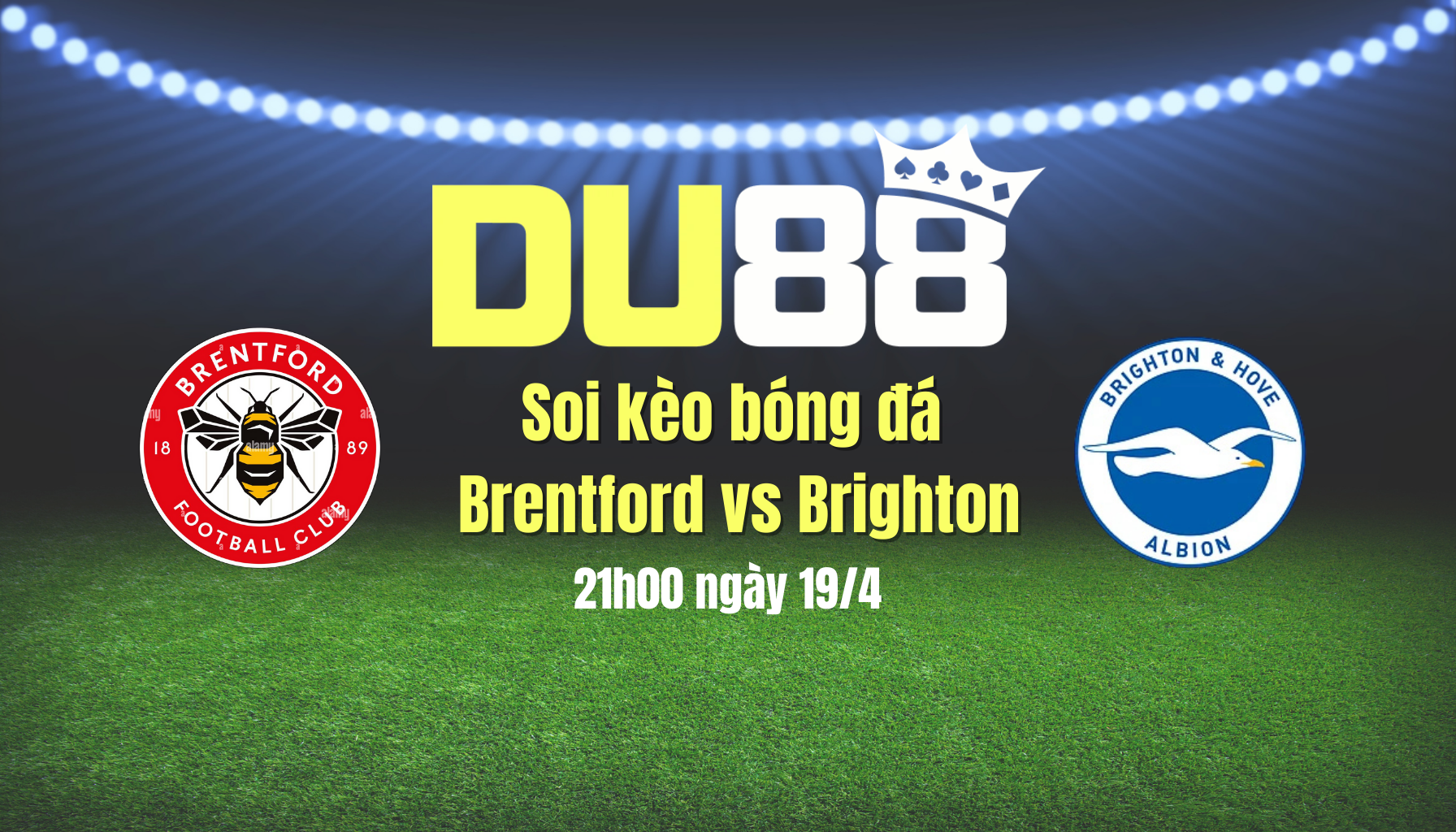 Soi kèo bóng đá Brentford vs Brighton, 21h00 ngày 19/4: Cơ hội cho Bầy ong DU88